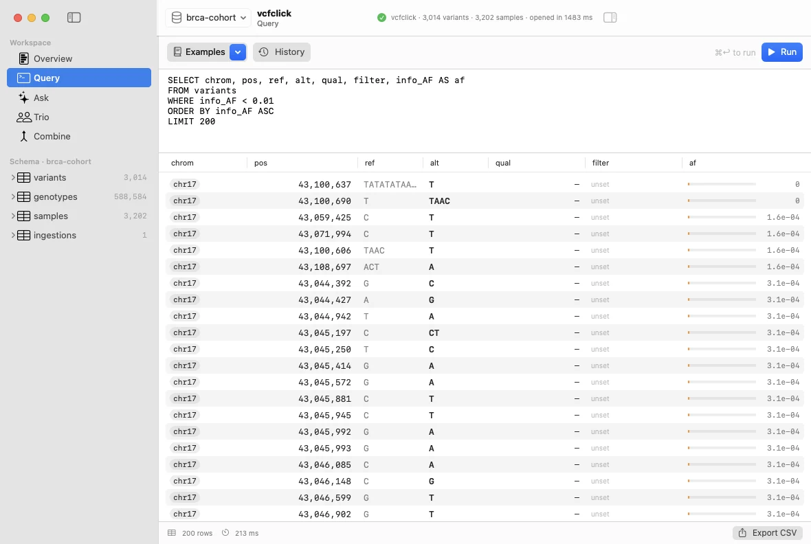 vcfclick for macOS: Query panel with a SQL editor and a sortable results table of rare variants