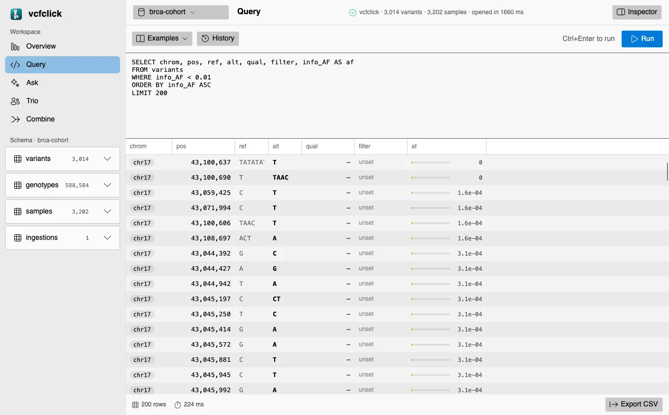 vcfclick for Windows and Linux: the same Query panel in the Fluent-styled Avalonia app